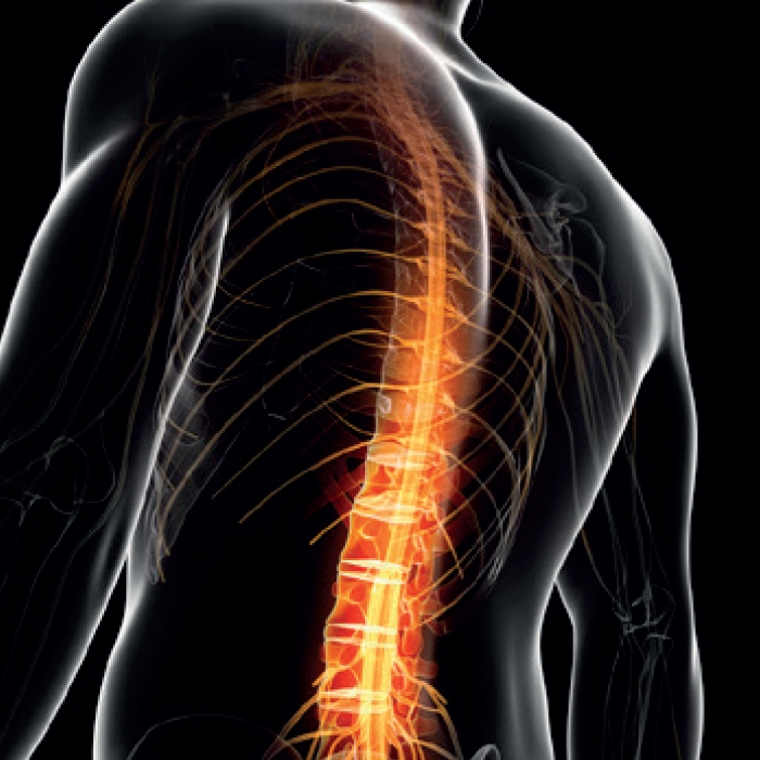 испытания имплантов фото 4